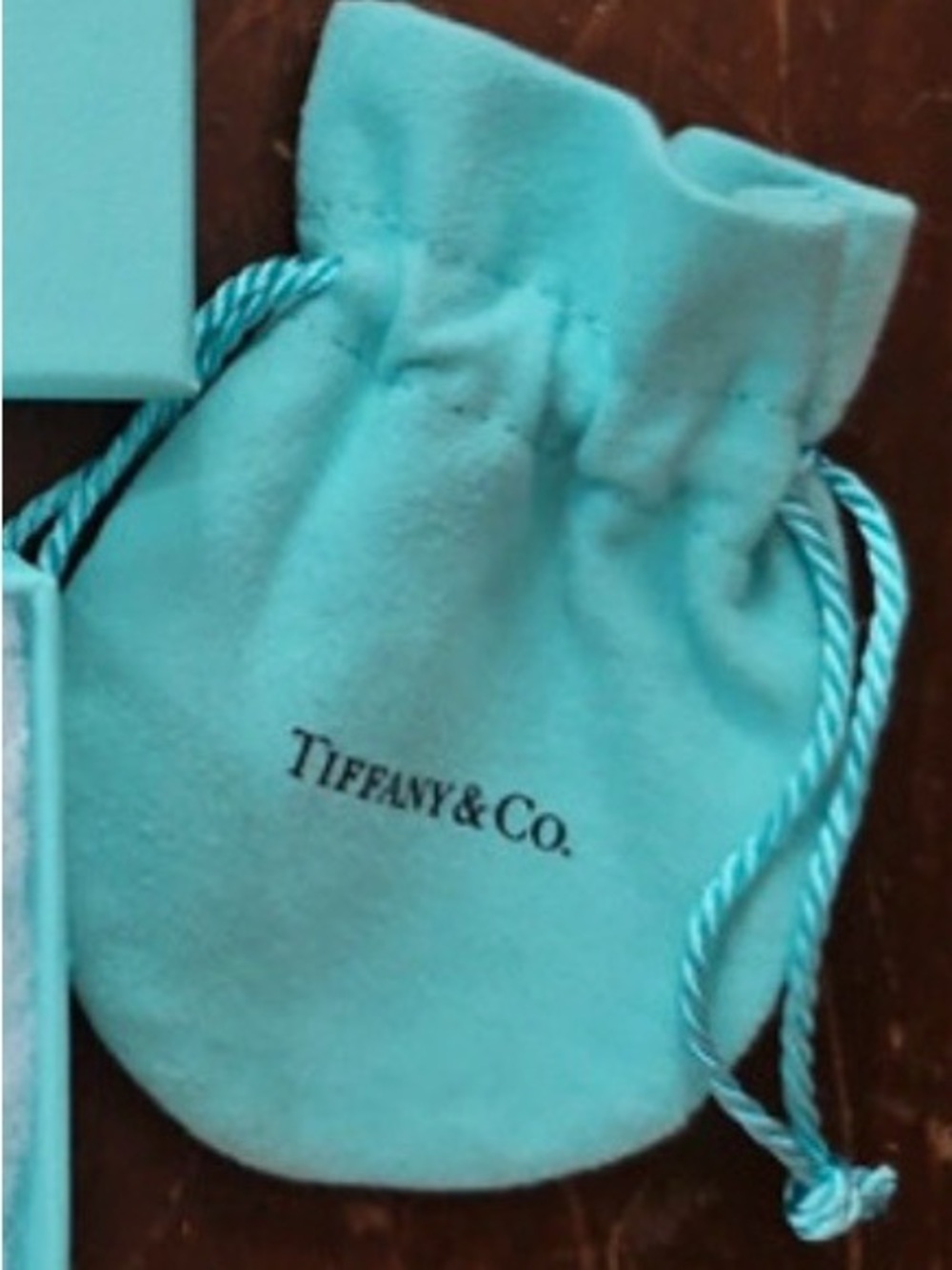 Tiffany & Co. Signature Robin's Egg Blue Velvet Drawstring Pouch